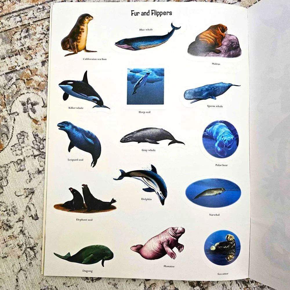 Set of 2 Children's Sticker Books. "Slimy & Scaly" and "Wet & Wild" . Softcover. - Picture 5 of 16